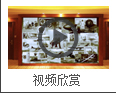 视频欣赏